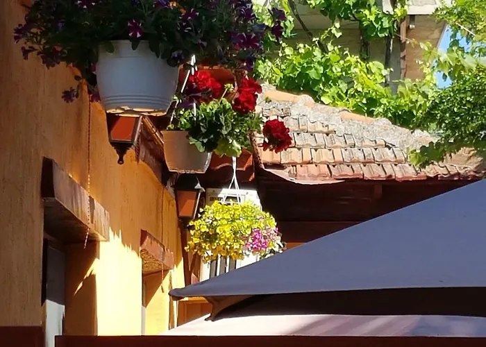 Sea Side Homestay Constanta